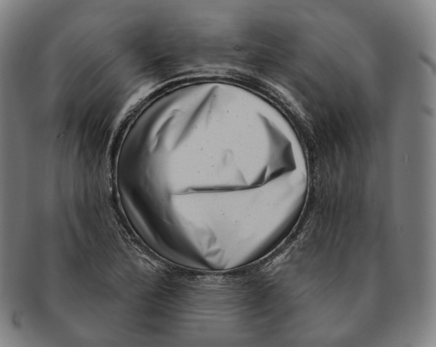 X0000091001172200708241442