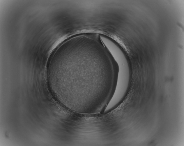X0000091001173200708241442