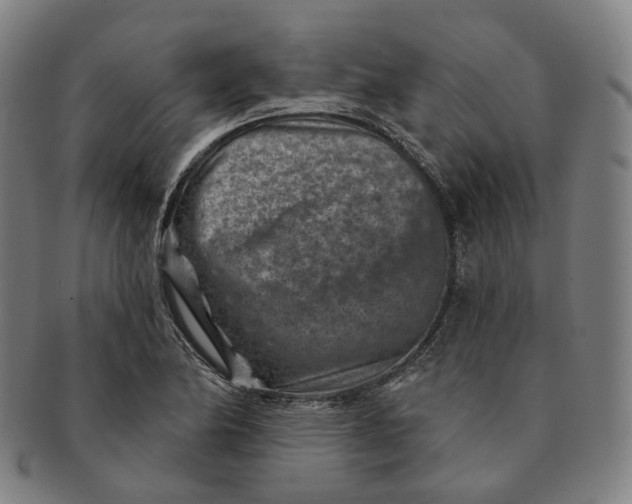X0000091001174200708241442