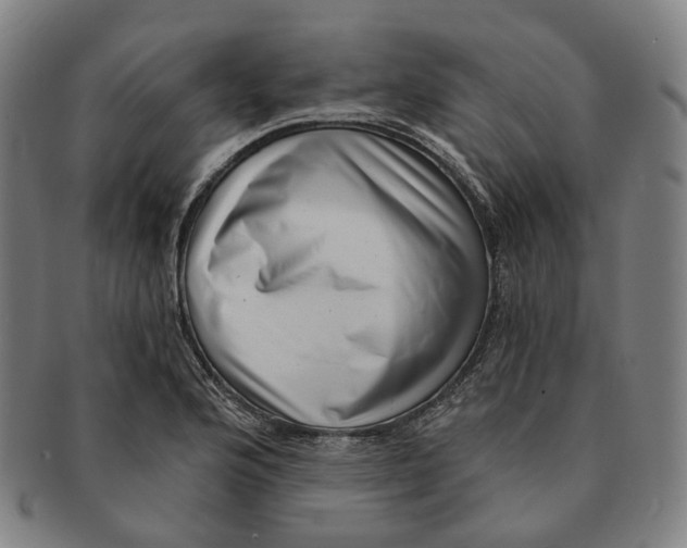 X0000091001176200708241442