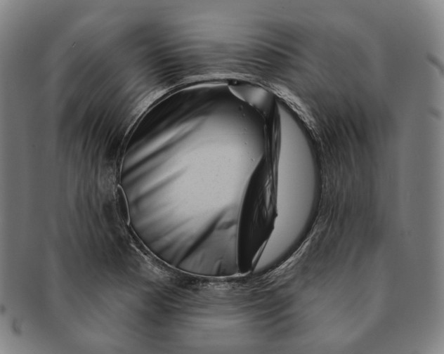 X0000091001177200708241442