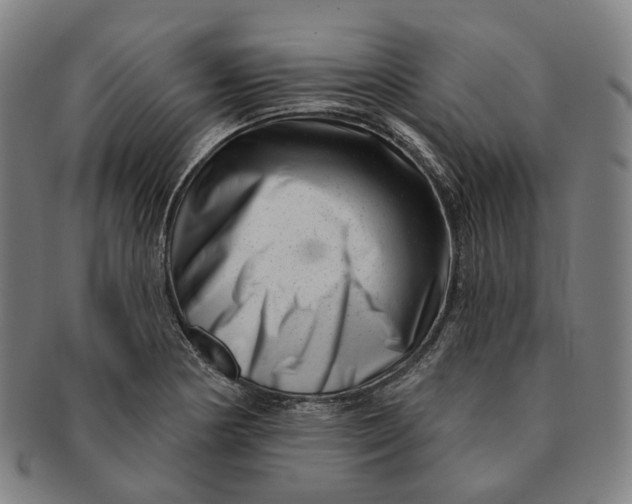 X0000091001178200708241442