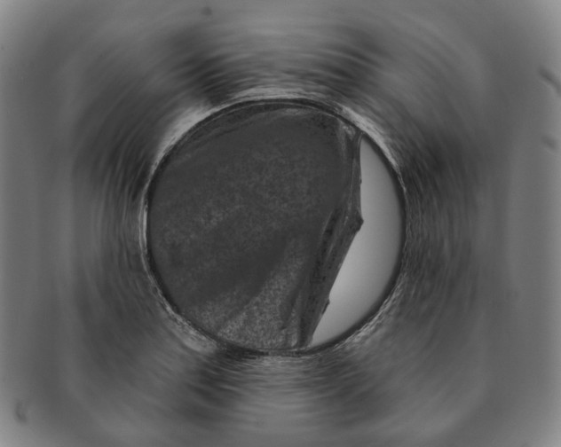 X0000091001179200708241442