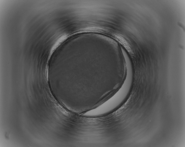 X0000091001180200708241442