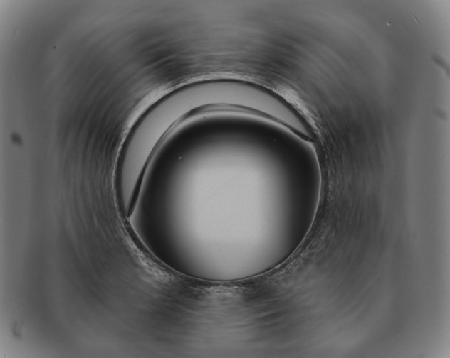X0000091001181200708241442