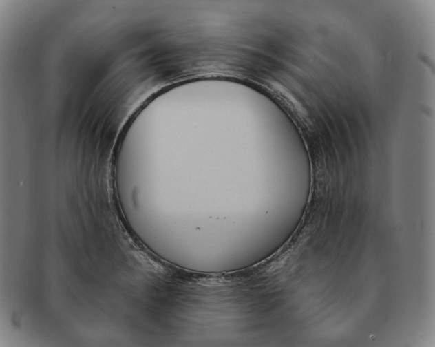 X0000091001182200708241442