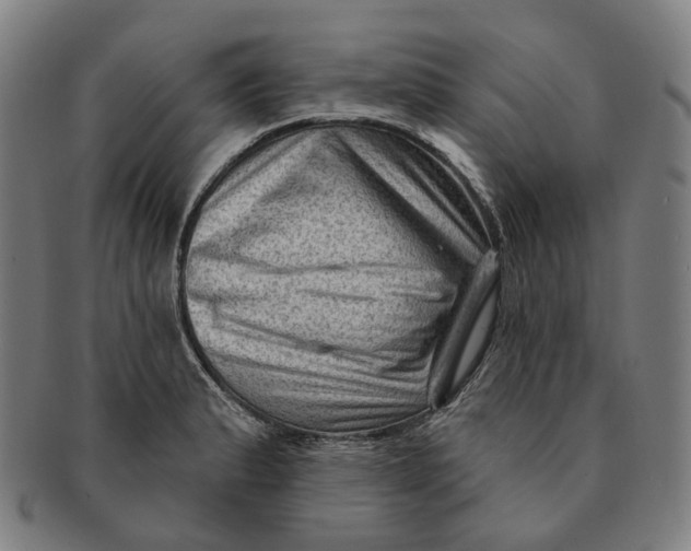 X0000091001183200708241442