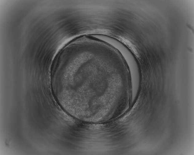 X0000091001184200708241442