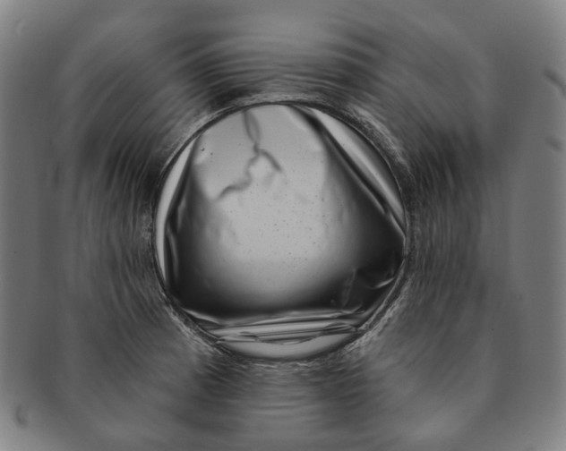 X0000091001185200708241442