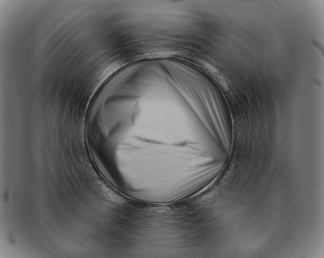 X0000091001186200708241442