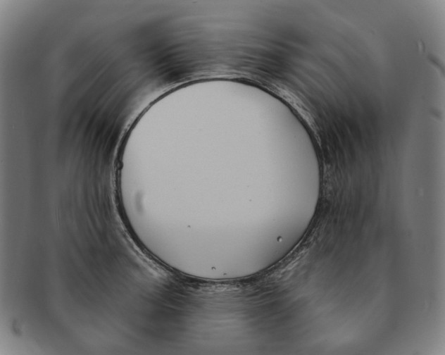 X0000091001187200708241442