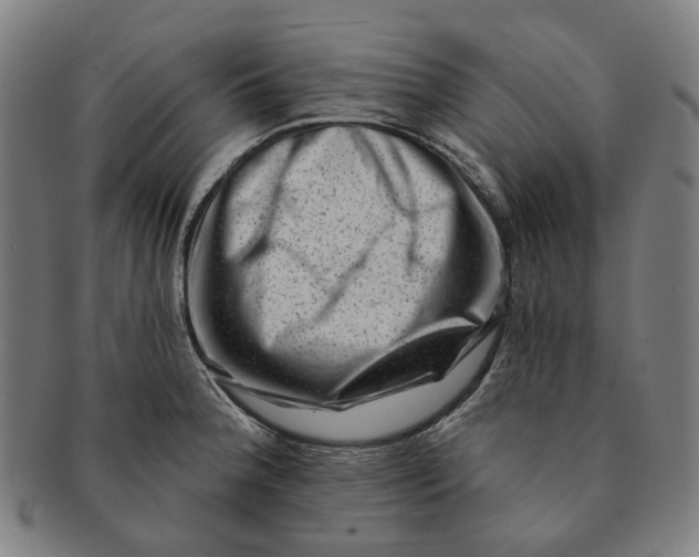 X0000091001188200708241442