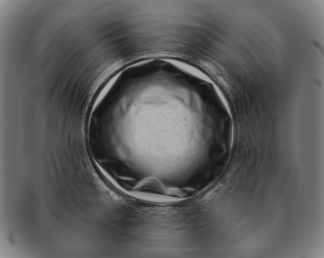 X0000091001189200708241442