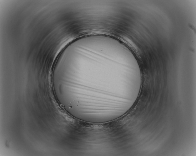X0000091001190200708241442