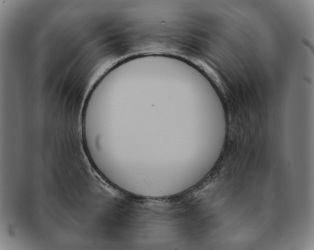 X0000091001191200708241442