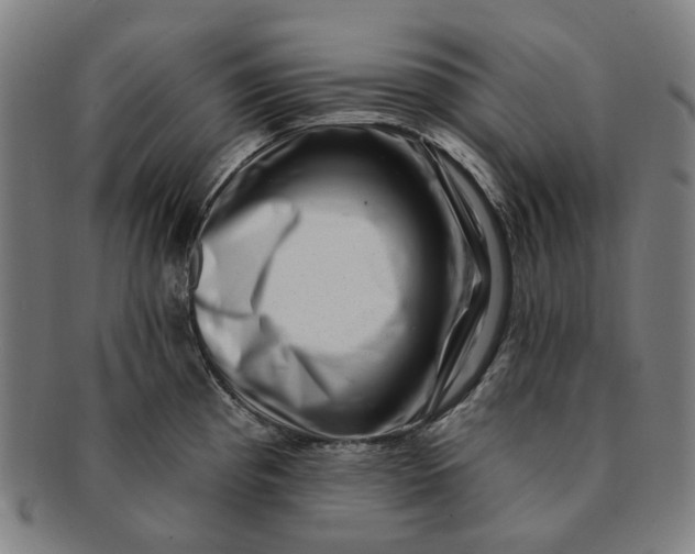 X0000091001193200708241442
