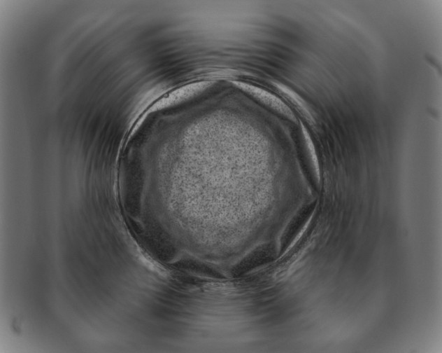 X0000091001194200708241442