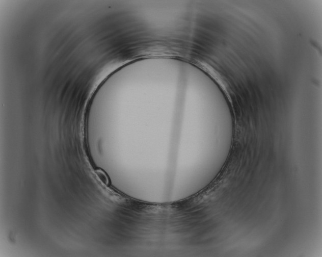 X0000091001195200708241442