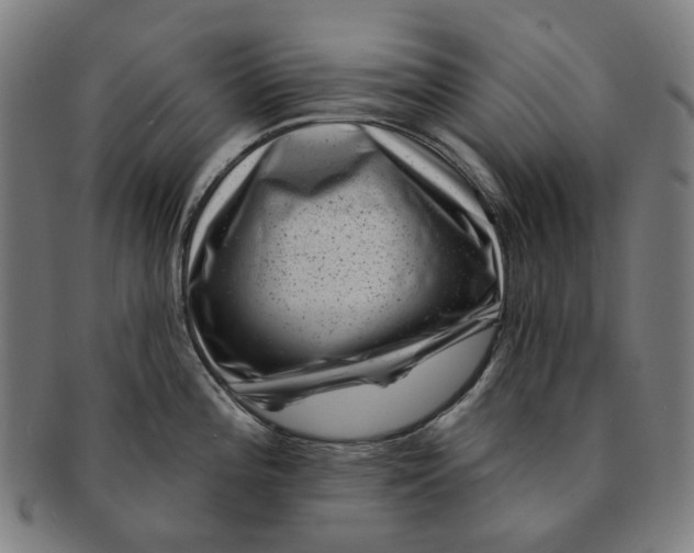 X0000091001196200708241442
