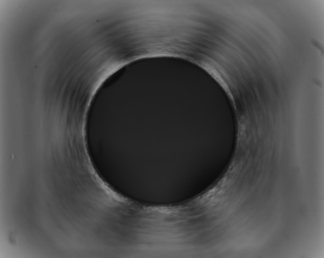 X0000091001197200708241442