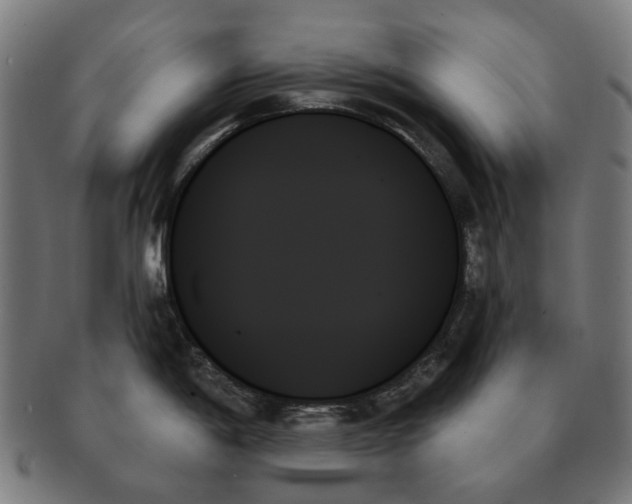 X0000091001198200708241442