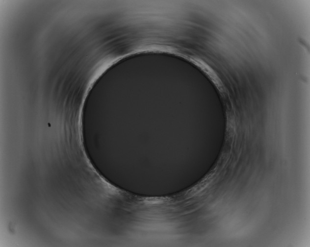 X0000091001199200708241442