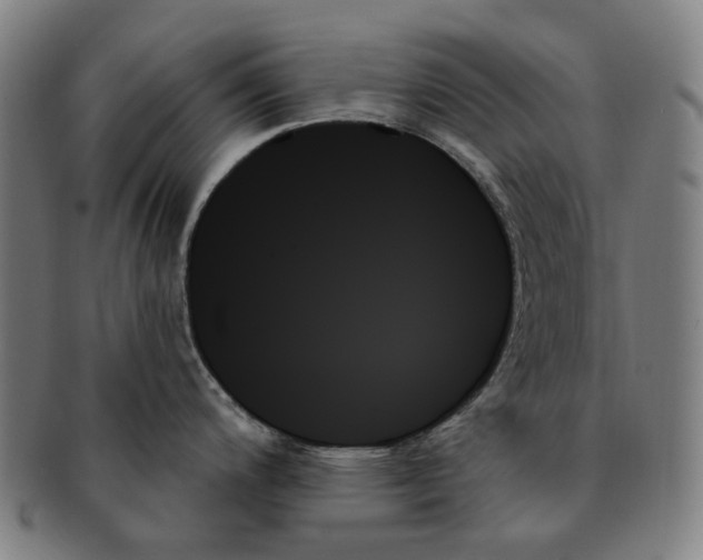 X0000091001200200708241442