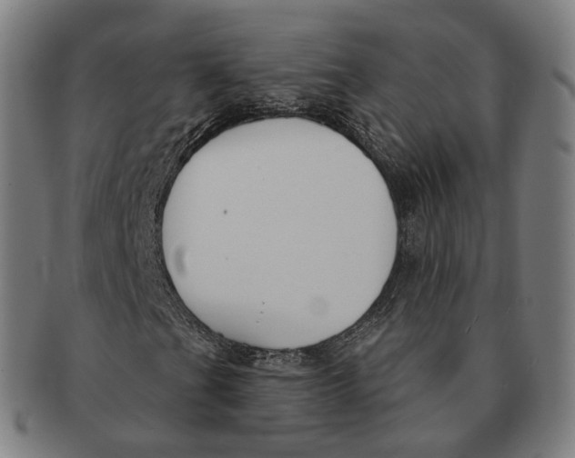X0000091001201200708241441