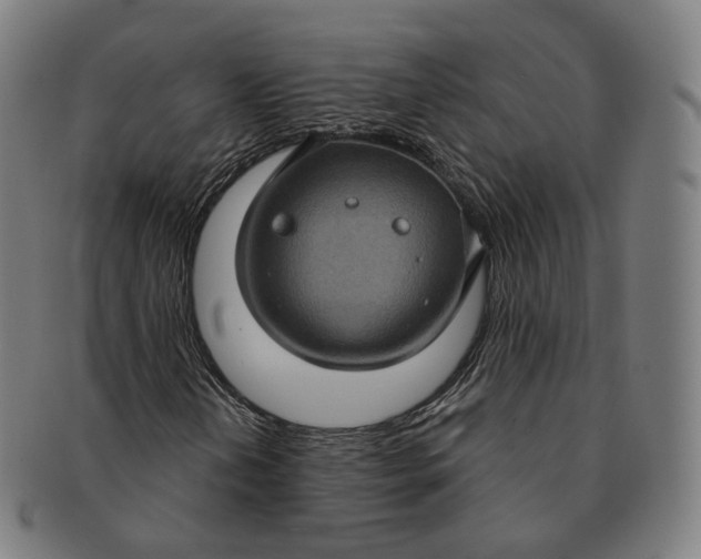 X0000091001202200708241441