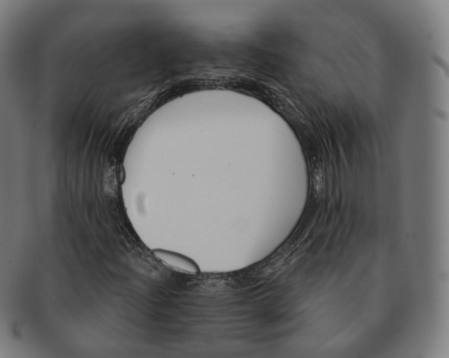 X0000091001204200708241441