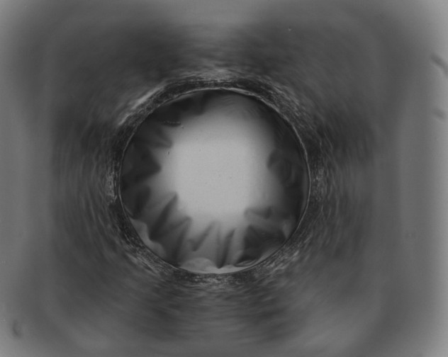 X0000091001205200708241441