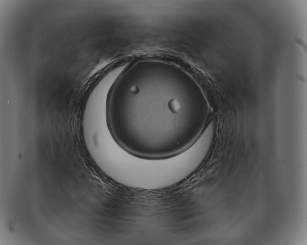 X0000091001206200708241441