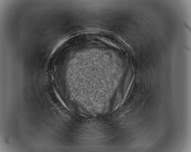 X0000091001208200708241441