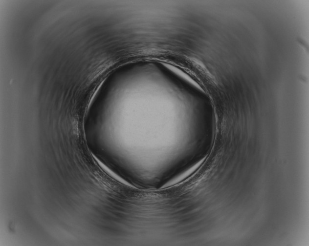 X0000091001209200708241441