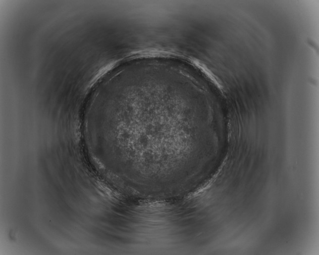 X0000091001213200708241441
