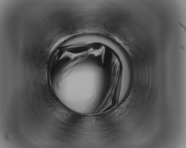 X0000091001214200708241441