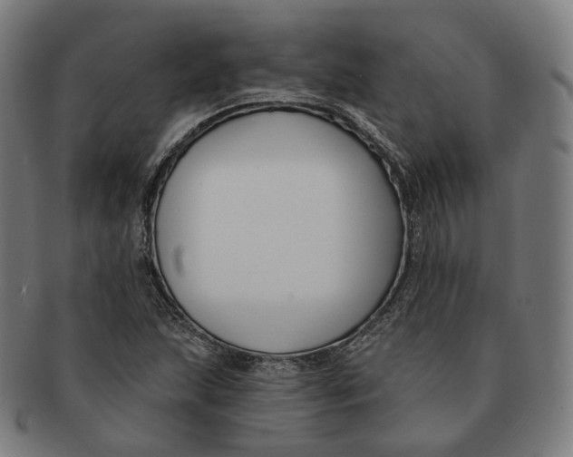 X0000091001215200708241441