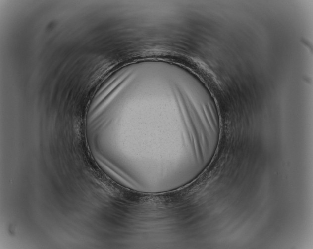 X0000091001217200708241441