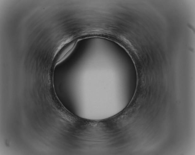 X0000091001218200708241441
