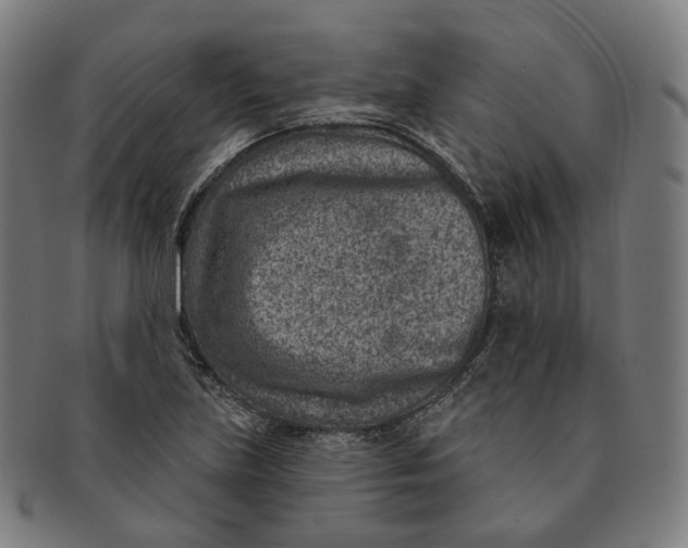 X0000091001219200708241441