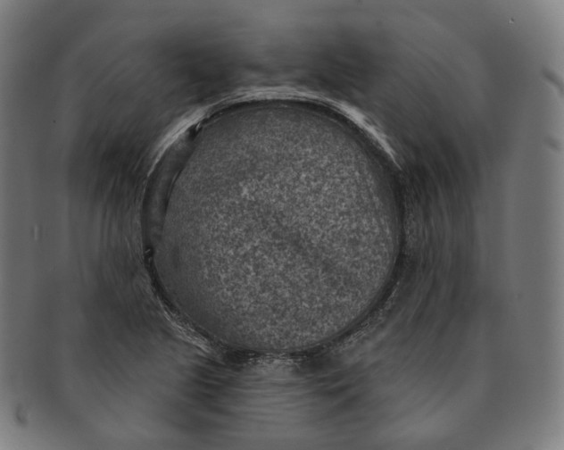 X0000091001221200708241441
