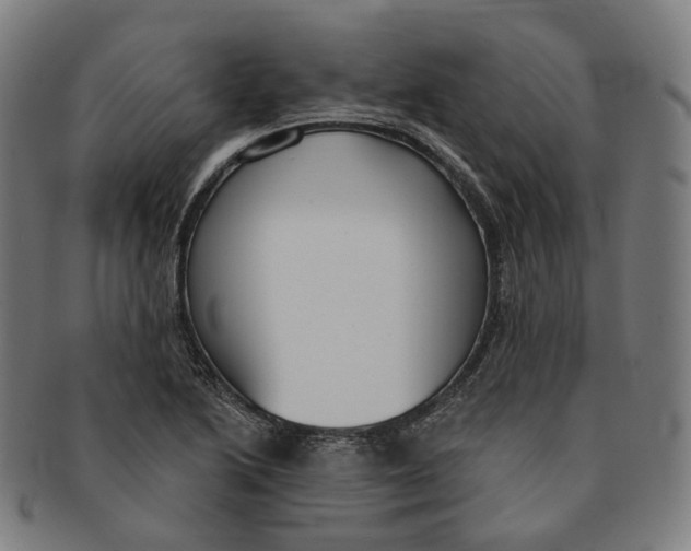 X0000091001222200708241441