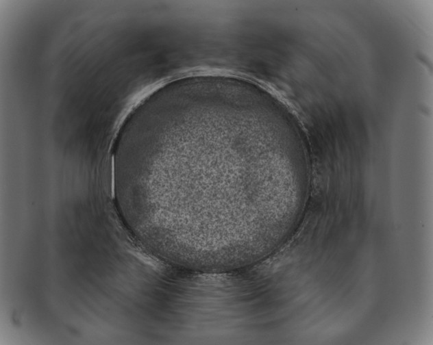 X0000091001223200708241441