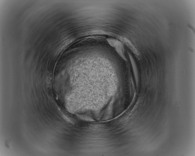 X0000091001225200708241441