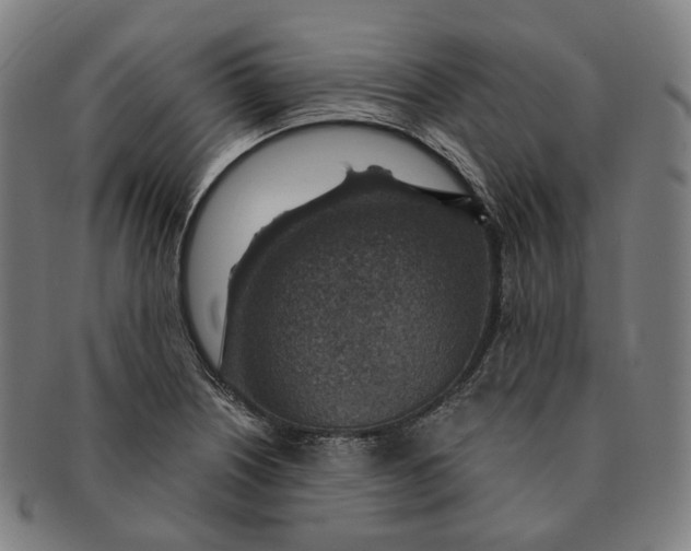X0000091001226200708241441