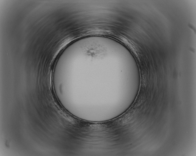 X0000091001227200708241441