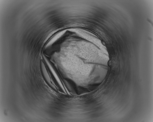 X0000091001228200708241441