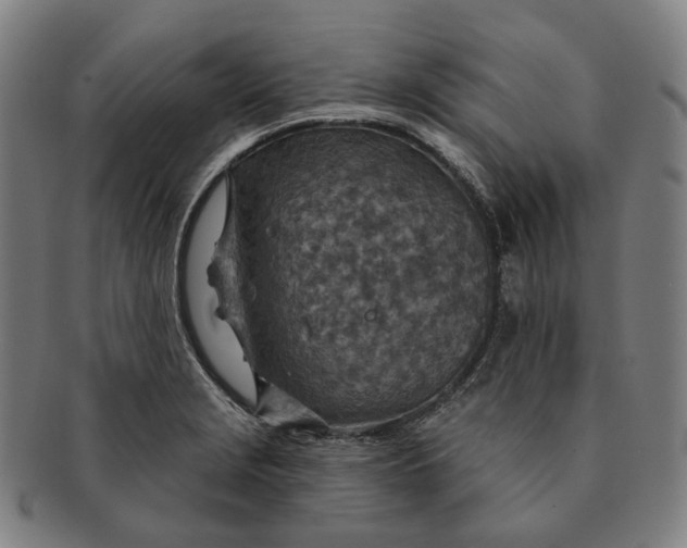 X0000091001229200708241441