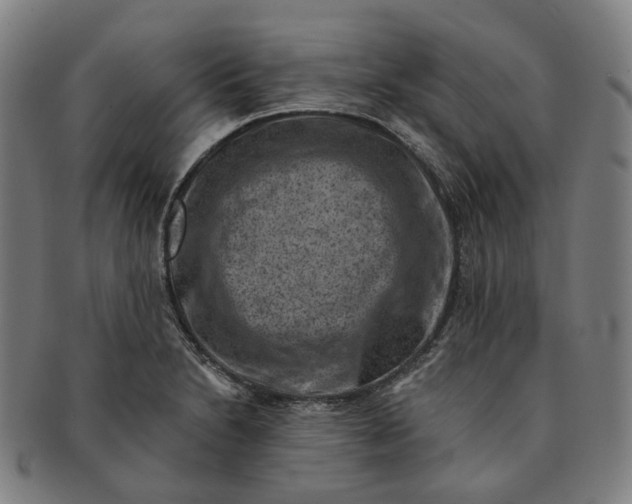X0000091001230200708241441