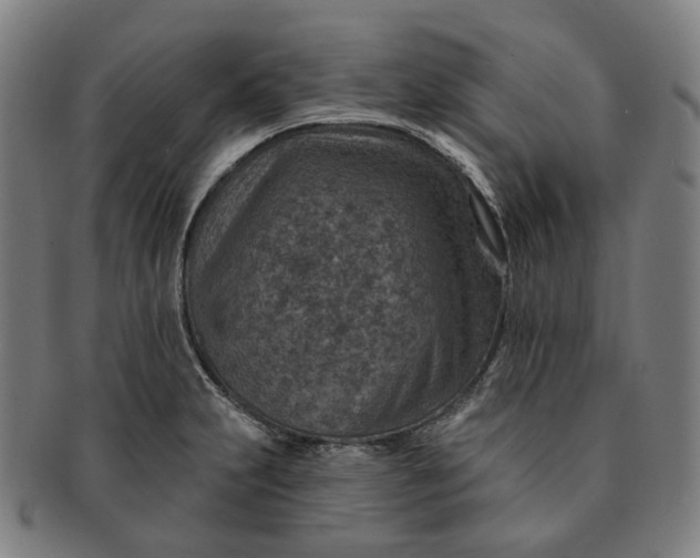 X0000091001231200708241441